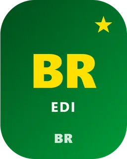Brazil NF-e e-Invoice