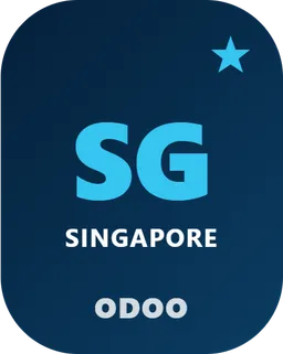 Singapore InvoiceNow In