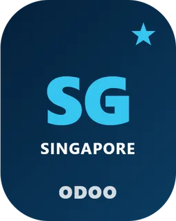 Singapore InvoiceNow Pre-flight Validation