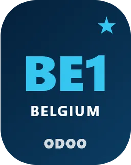 Belgium EN 16931 Check