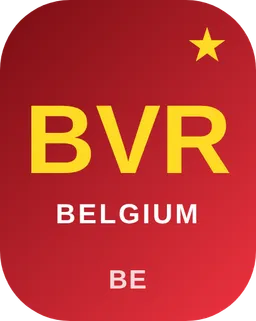 BE VAT Revision