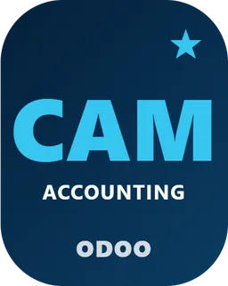 Chart-of-Accounts Mapping