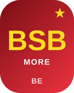 BE Sociale Balans /