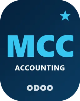 Multi-Company Consolidati
